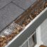 How Falling Leaves Can Affect Your Roof and Gutters | Amex Roofing & Drainage