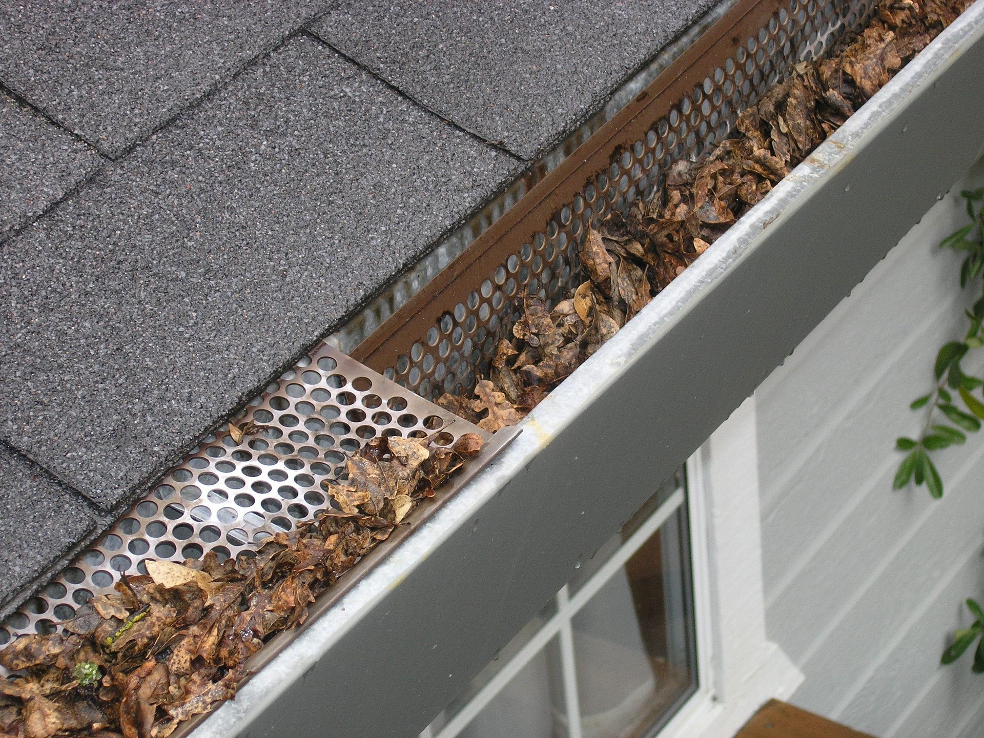 How Falling Leaves Can Affect Your Roof and Gutters | Amex Roofing & Drainage